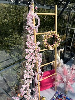 Wiosna w Leśnej Szklarni 💐