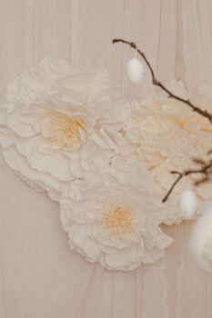 Sesja Wielkanoc/Wiosna 2026