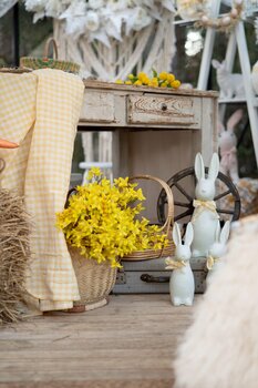 Sesja Wiosenna Wielkanoc