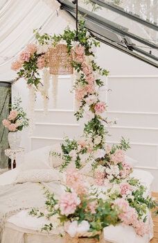 Wiosenna mini sesja w szklarni