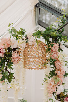 Wiosenna mini sesja w szklarni