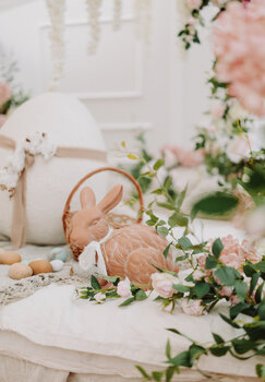 Wiosenna mini sesja w szklarni