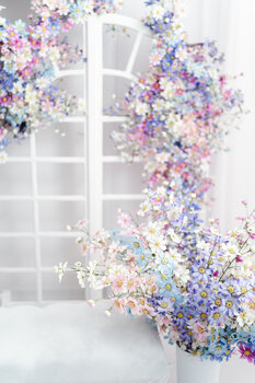 Sesje Studyjne -  Dzień Mamy