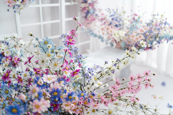 Sesje Studyjne -  Dzień Mamy