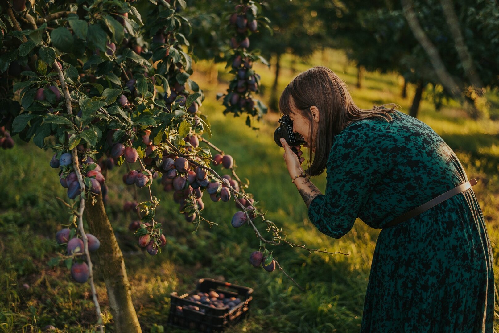 Spacer fotograficzny - warsztat dla początkujących