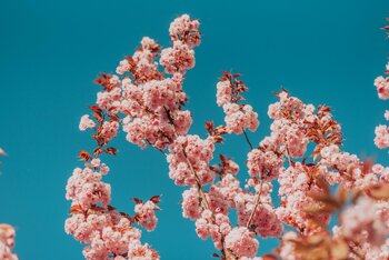 Spacer fotograficzny - warsztat dla początkujących