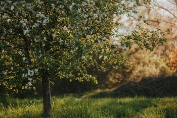 Spacer fotograficzny - warsztat dla początkujących