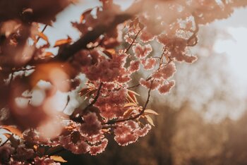 Spacer fotograficzny - warsztat dla początkujących