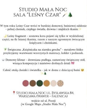 MINI SESJA BOŻONARODZENIOWA 2026- STUDIO MAŁA NOC "Leśny Czar"