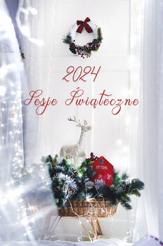 Sesje Świąteczne 2024 🎄📸 - pakiety do wyboru!