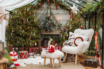 Mini sesja świąteczna w szklarni Warszawa 2025 WAWER