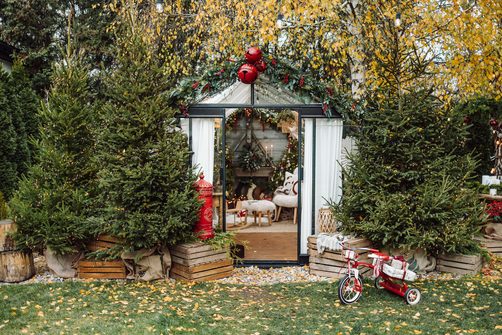 Mini sesja świąteczna w szklarni Warszawa 2025 WAWER