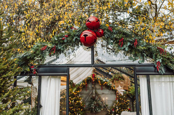 Mini sesja świąteczna w szklarni Warszawa 2025 WAWER