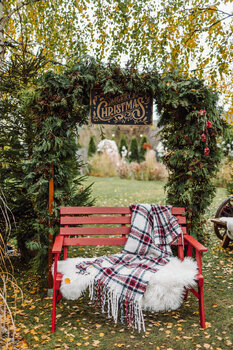 Mini sesja świąteczna w szklarni Warszawa 2025 WAWER