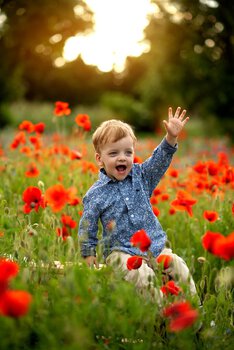 Makowe mini sesje - czerwiec!