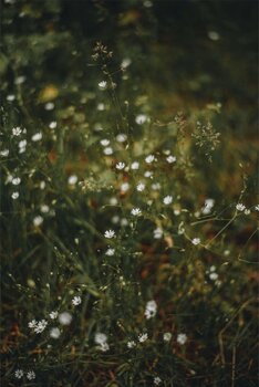 Sesje na Dzień Mamy