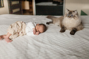 DOMOWA SESJA NOWORODKOWA