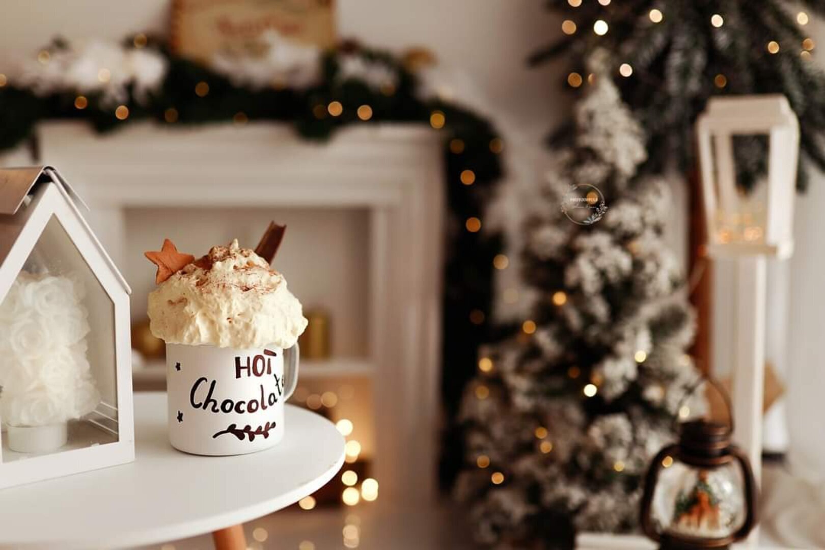 Sesje świąteczne 2022