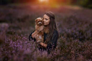 Bajkowe sesje we wrzosach - druga połowa sierpnia/wrzesień ;)