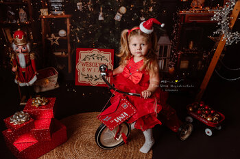 MIni Sesja świąteczna🧸☃️🎄📸 