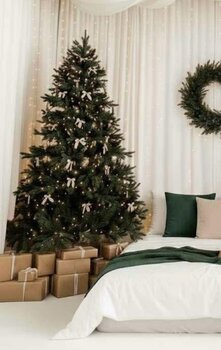 Sesje świąteczne w Studio Smile, sala Sunny 30.11.2025 (Warszawa)