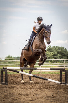 Jeździecka sesja treningowa