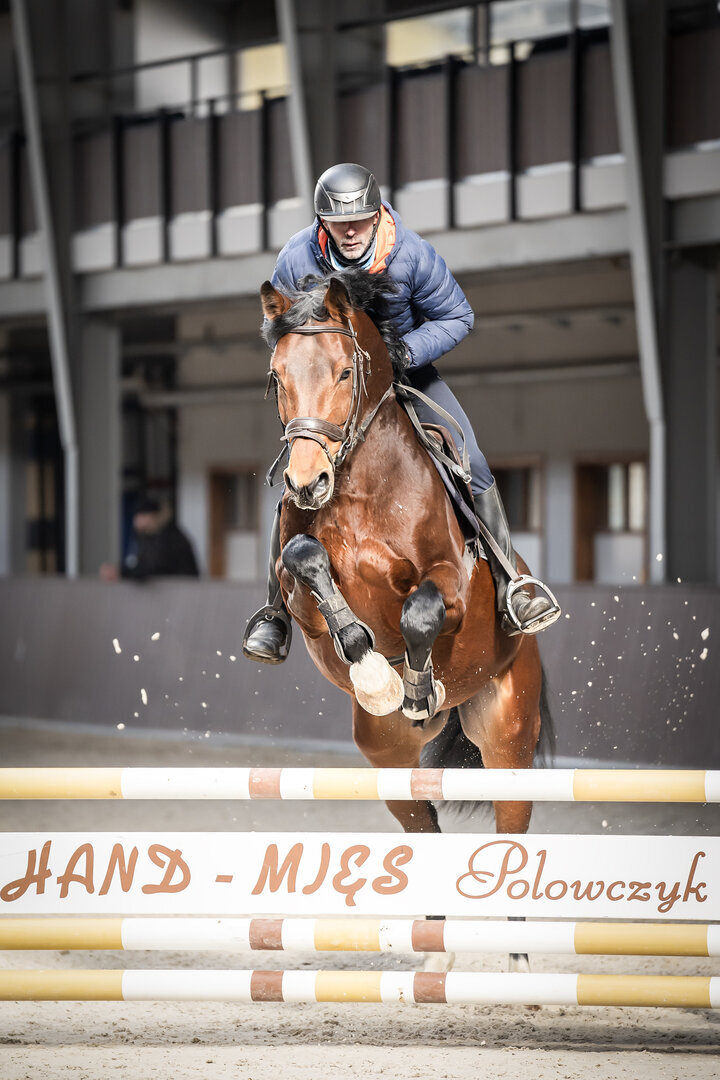 Jeździecka sesja treningowa