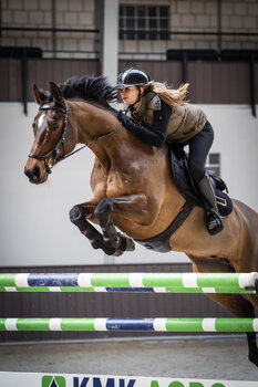 Jeździecka sesja treningowa