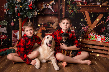Xmas mini sessions 2025