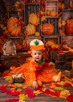 Autumn mini sessions