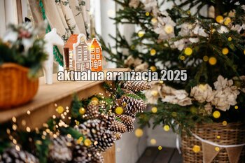 🎄 Zimowe sesje w świątecznej szklarni + pickup + SANIE 🎄