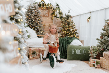 Sesja Świąteczna w Szklarni