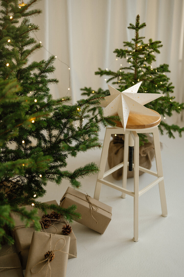 MINI SESJE ŚWIĄTECZNE  STUDIO TAŚMA #1