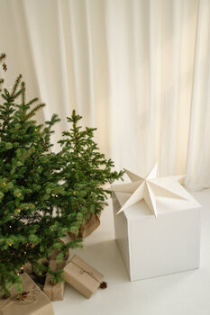 MINI SESJE ŚWIĄTECZNE  STUDIO TAŚMA #1