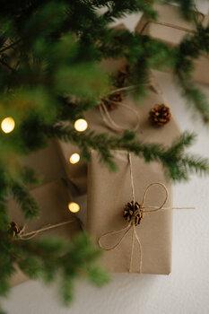 MINI SESJE ŚWIĄTECZNE  STUDIO TAŚMA #1